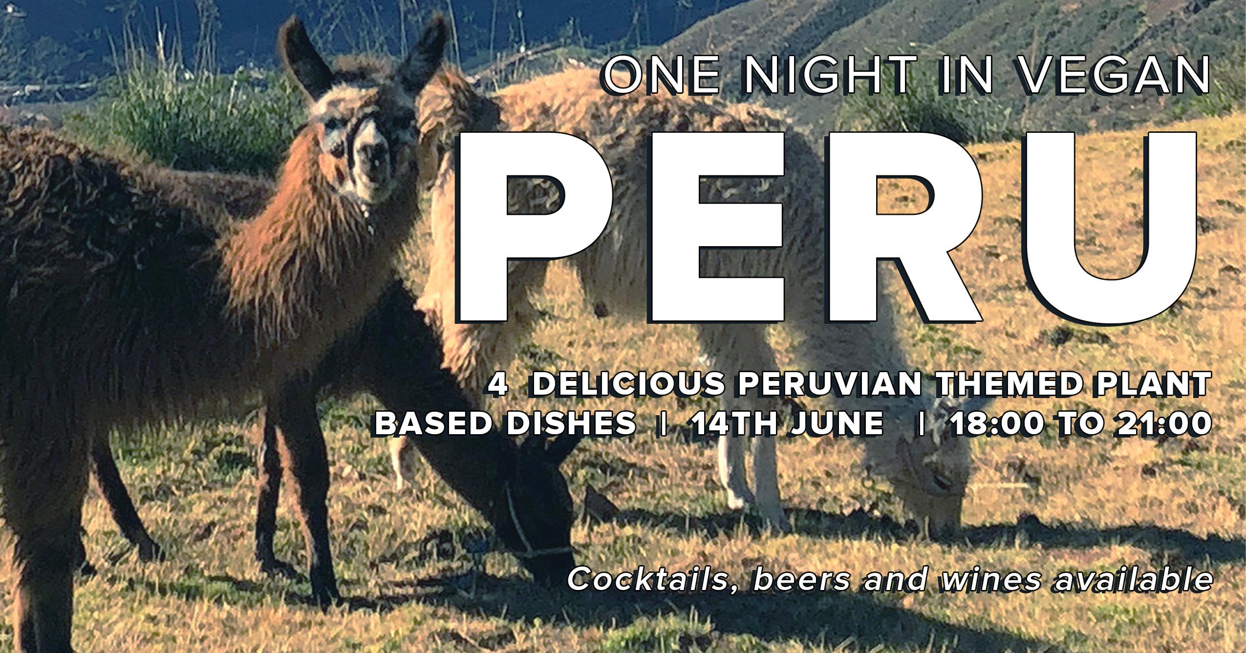 One Night in Vegan Peru